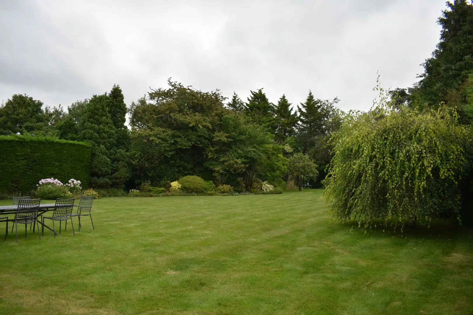 Sutton garden, before work began (1)