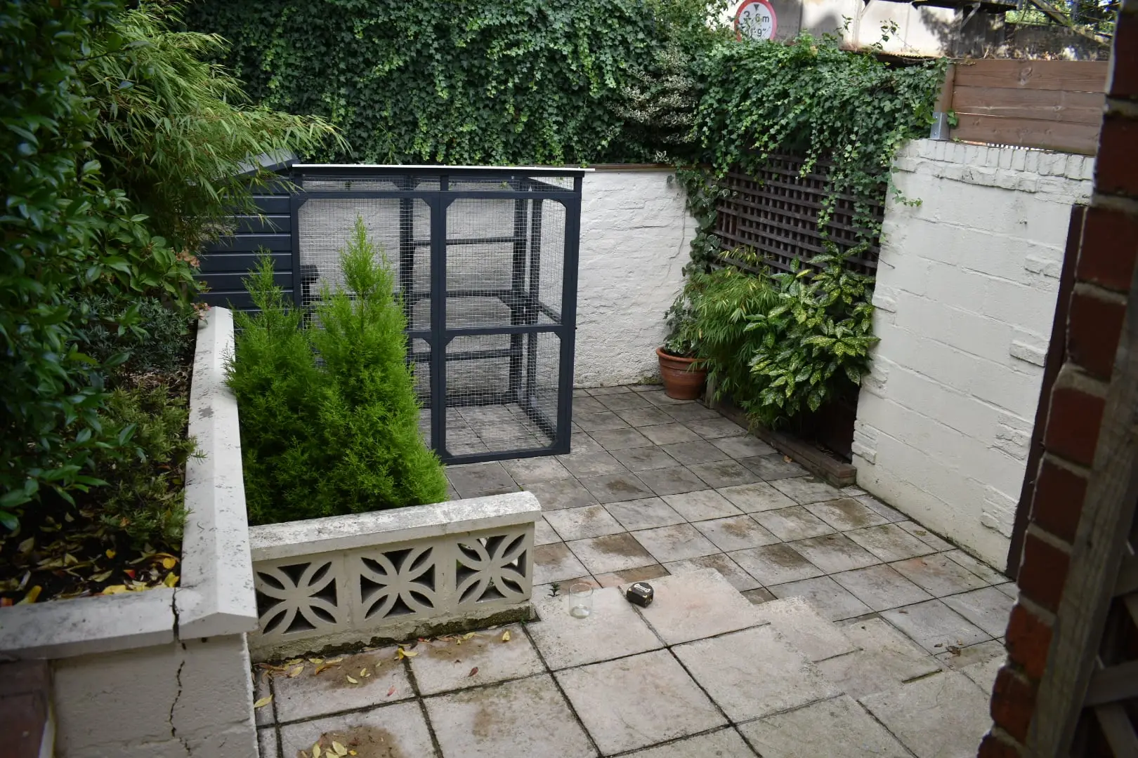 Crofton Park garden, before work began (1)