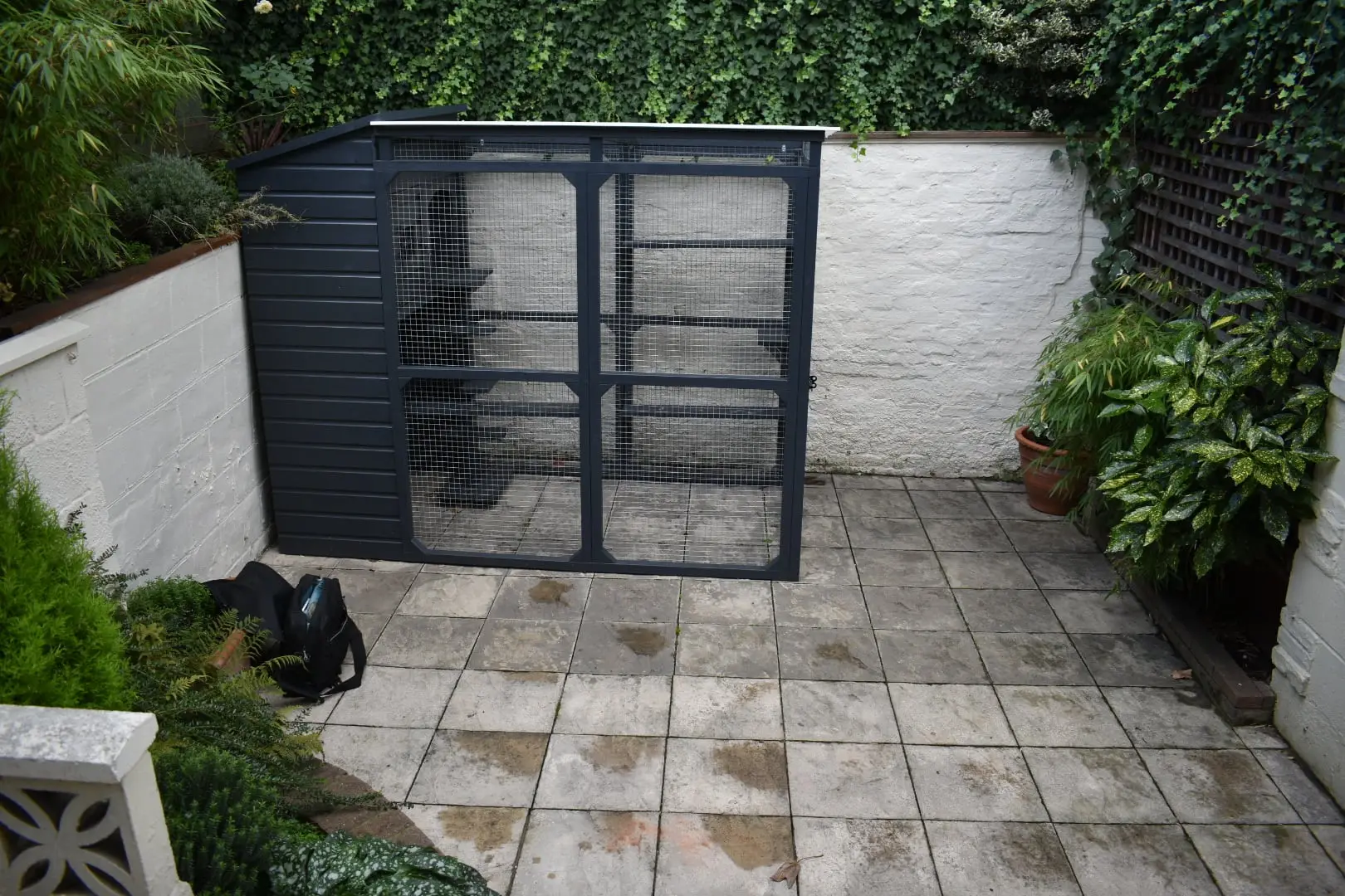 Crofton Park garden, before work began (2)