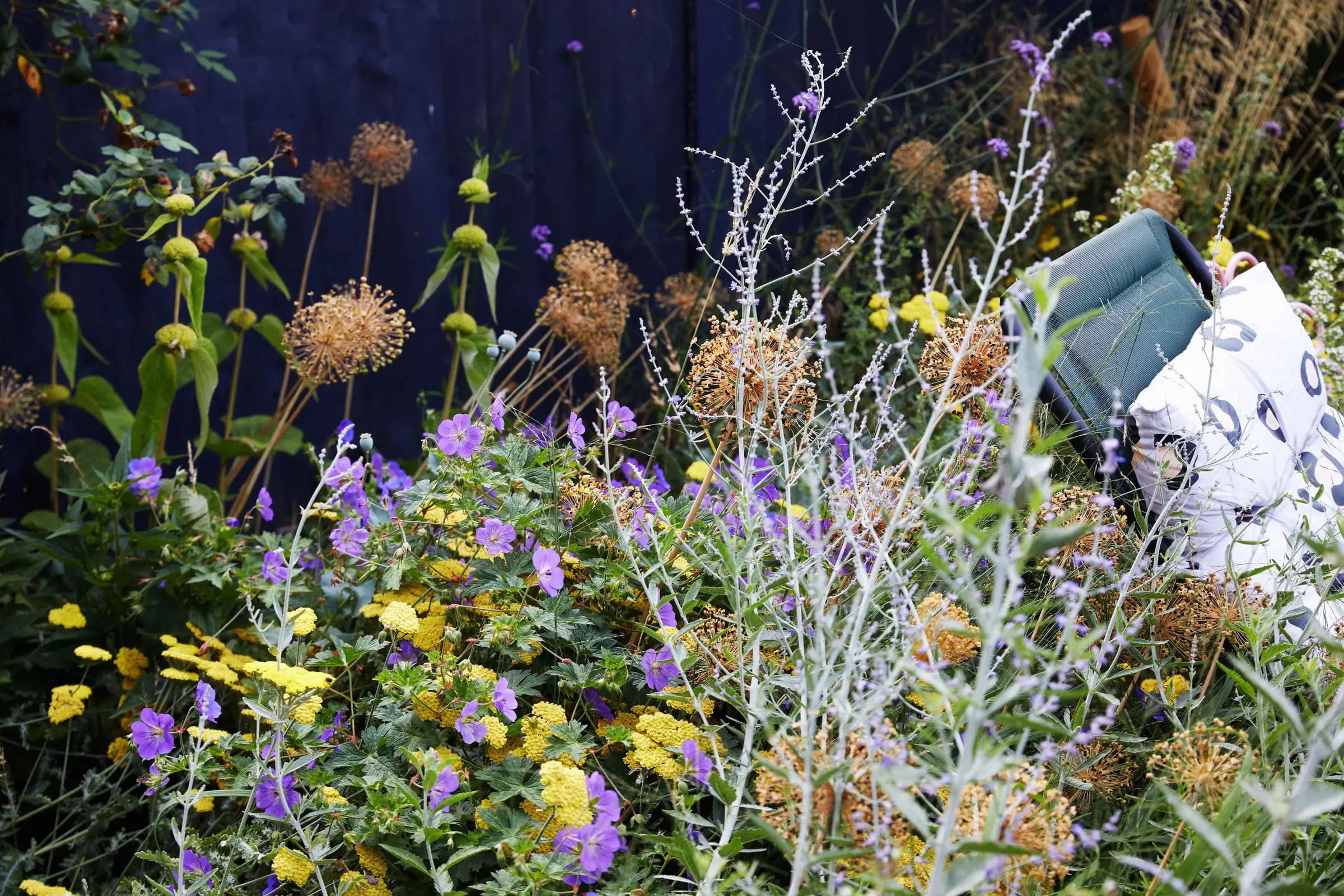 Pollinator-friendly perennials and alliums