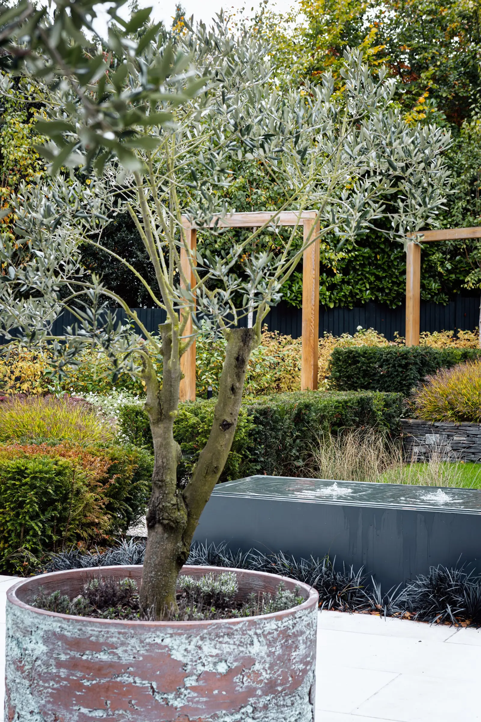 Woburn Sands garden, completed (6)