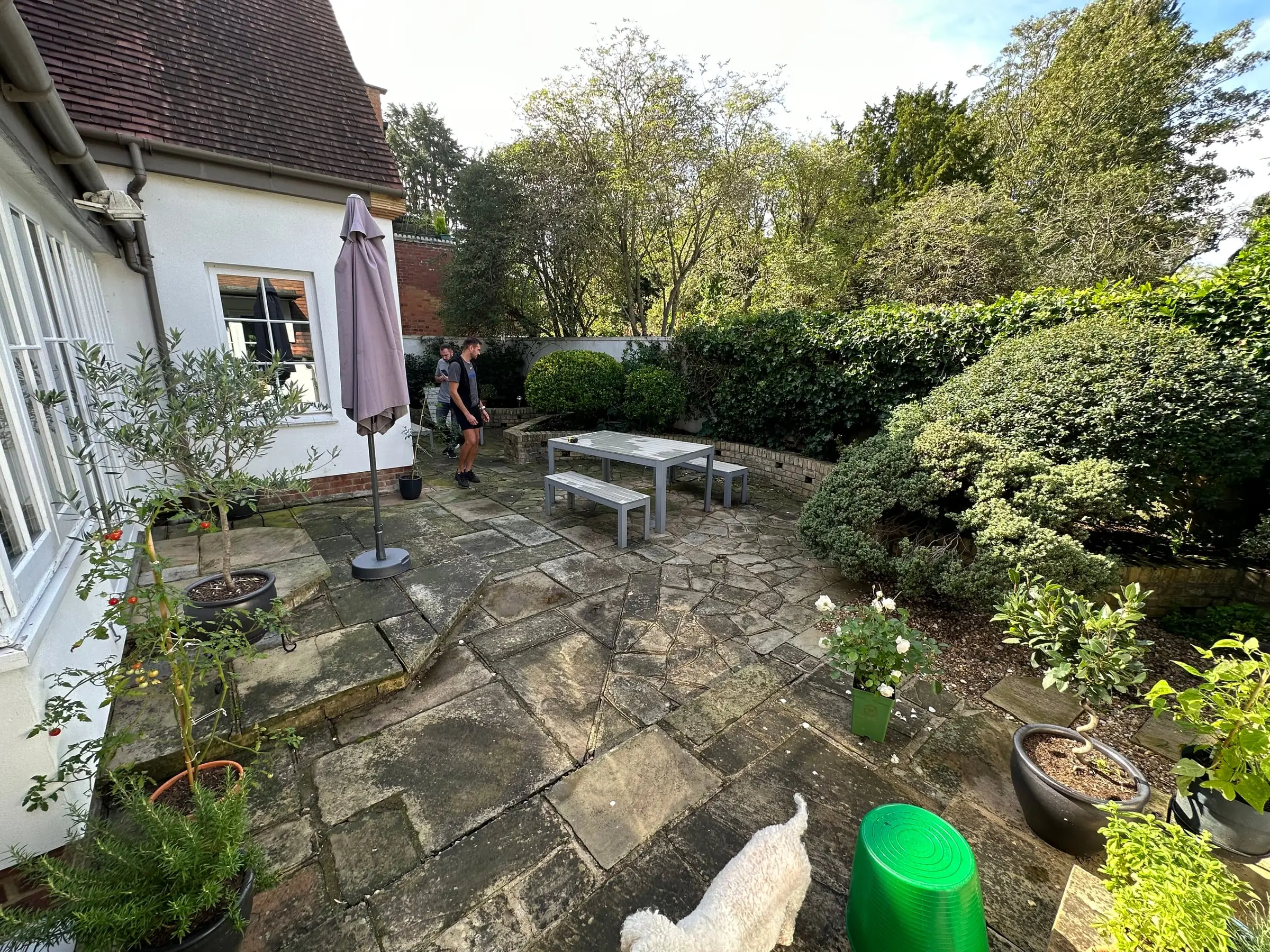 Muswell Hill garden, before work began (3)
