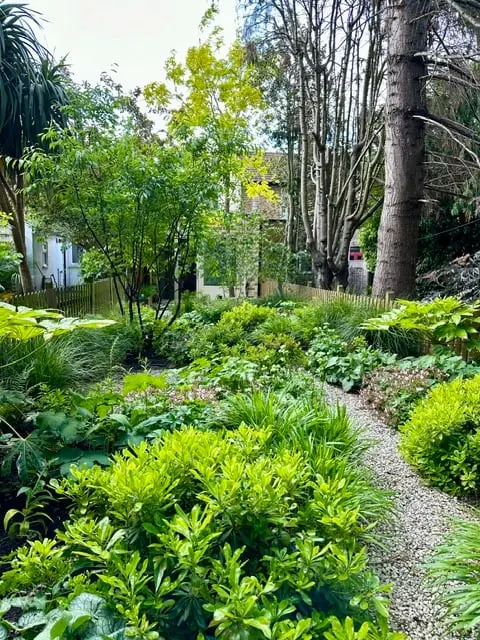 Lush, layered woodland-style planting
