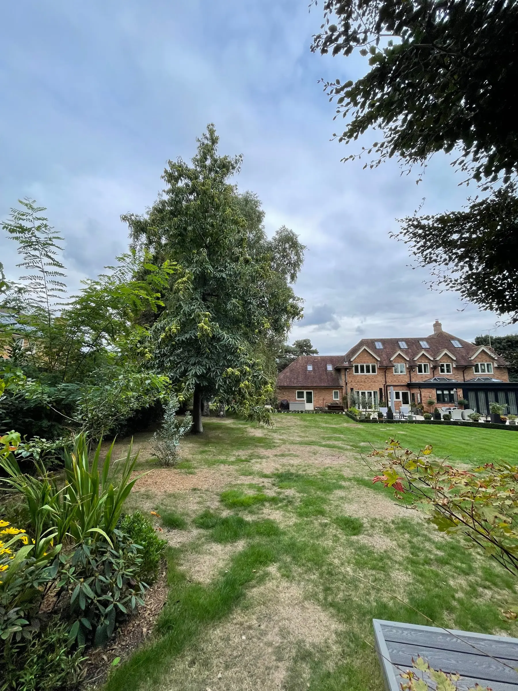 Woburn Sands garden, before work began (4)