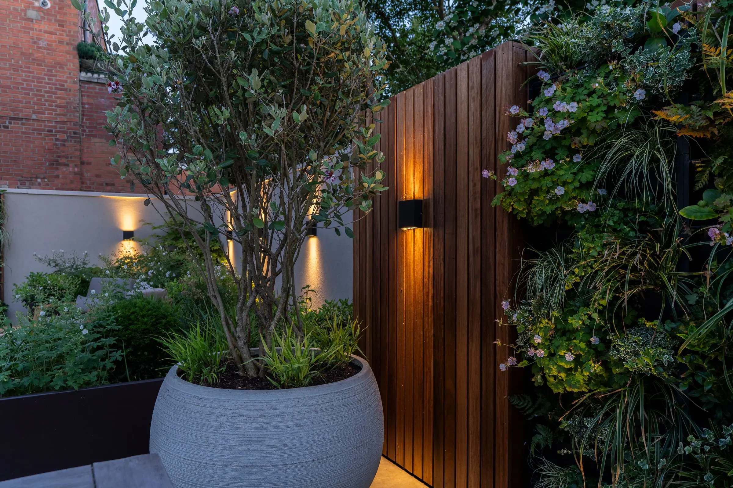 Muswell Hill garden, completed (7)