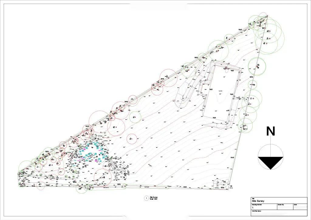 Measured site survey drawing showing boundaries, levels and existing trees